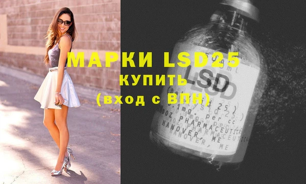ПСИЛОЦИБИНОВЫЕ ГРИБЫ Покров